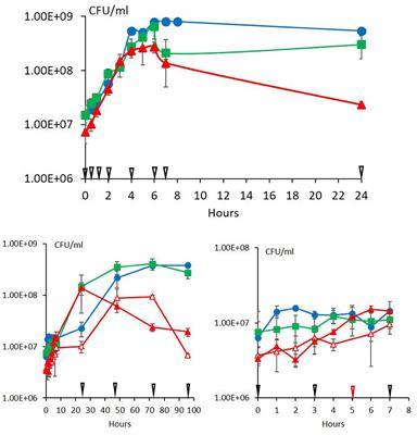 Short-Chain and Unsaturated Fatty Acids Increase Sequentially From the Lag Phase During Cold Growth of Bacillus cereus